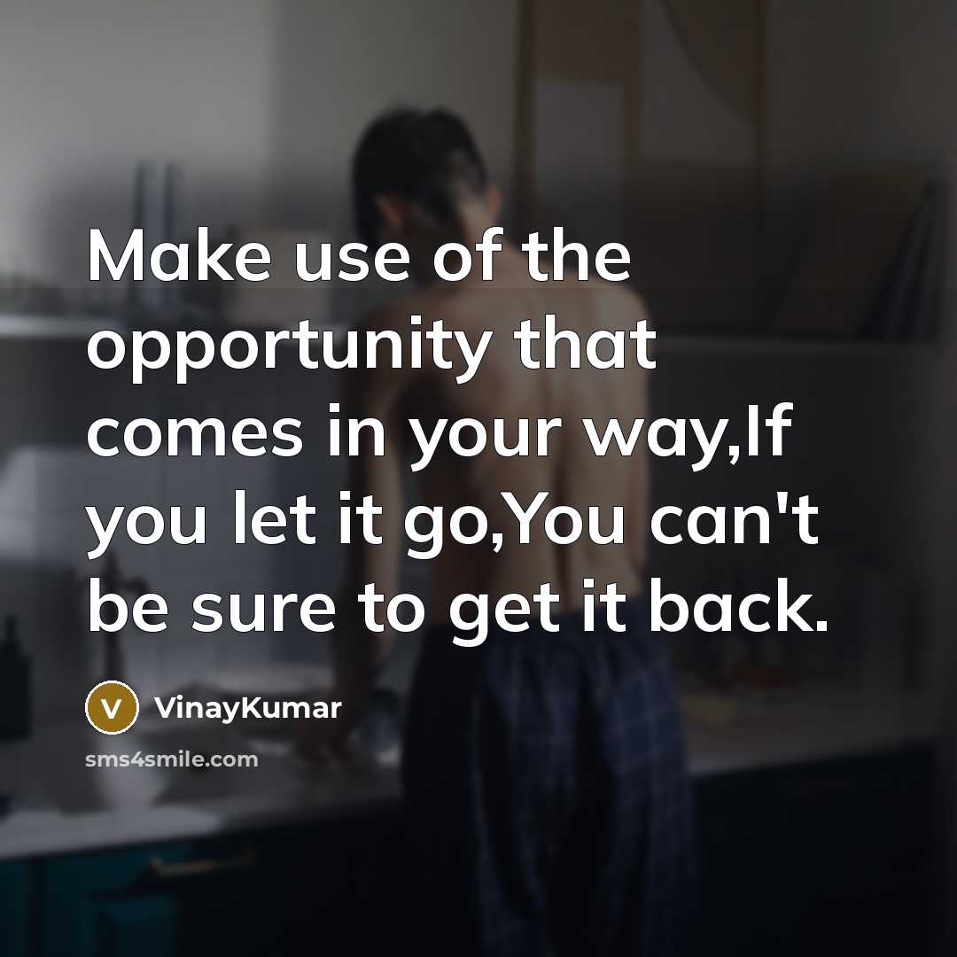 “Make use of the opportunity that comes in your way,If you let it go,You can't be sure to get it back.” quote by VinayKumar