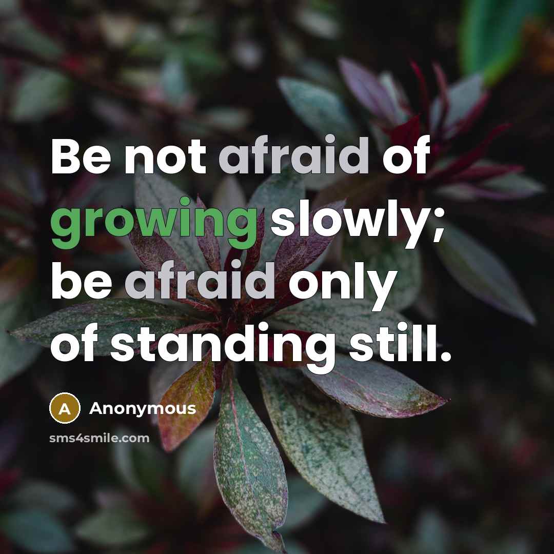“Be not afraid of growing slowly; be afraid only of standing still.” quote by Anonymous