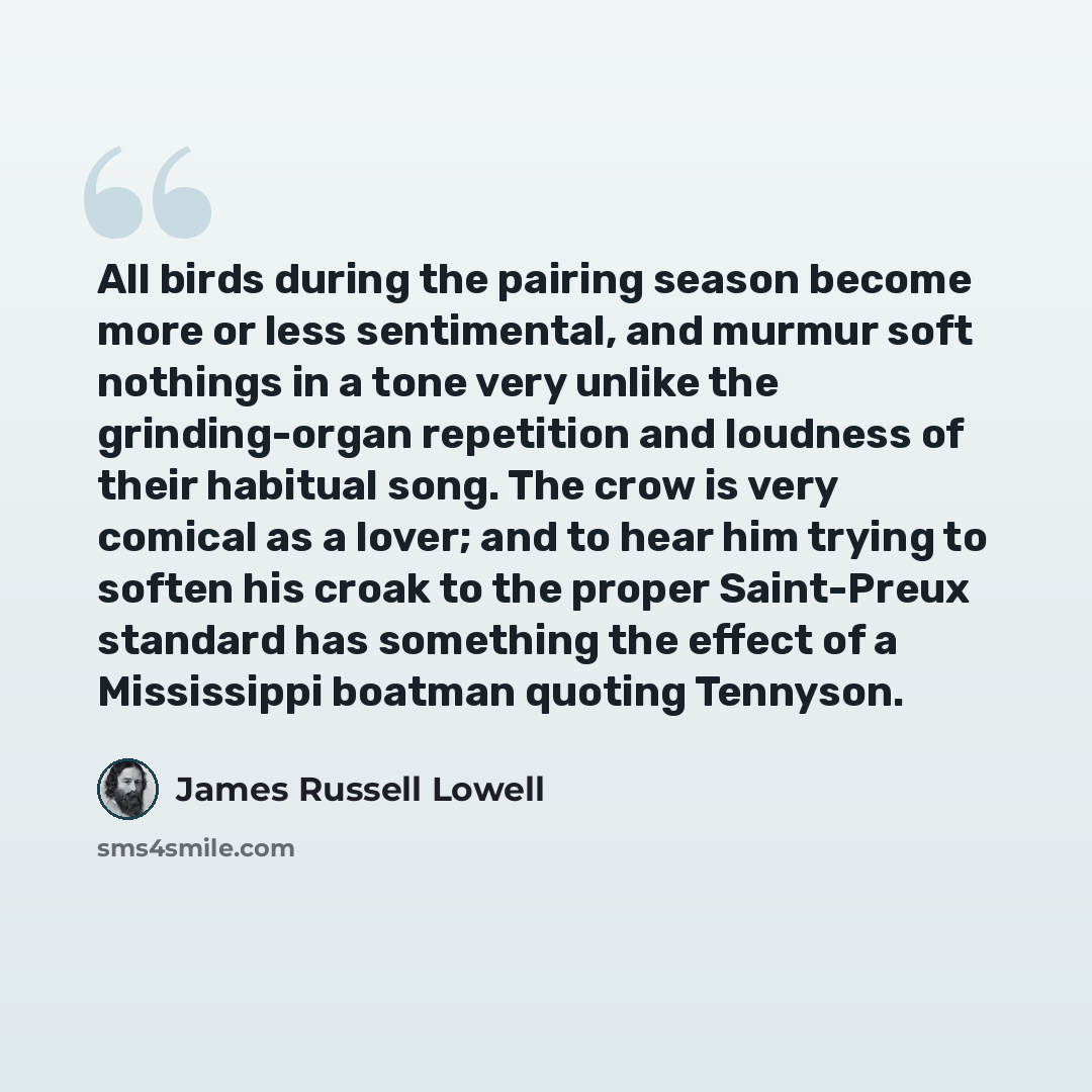 “All birds during the pairing season become more or less sentimental, and murmur soft nothings in a tone very unlike the grinding-organ repetition and loudness of their habitual song. The crow is very comical as a lover; and to hear him trying to soften his croak to the proper Saint-Preux standard…” quote by James Russell Lowell