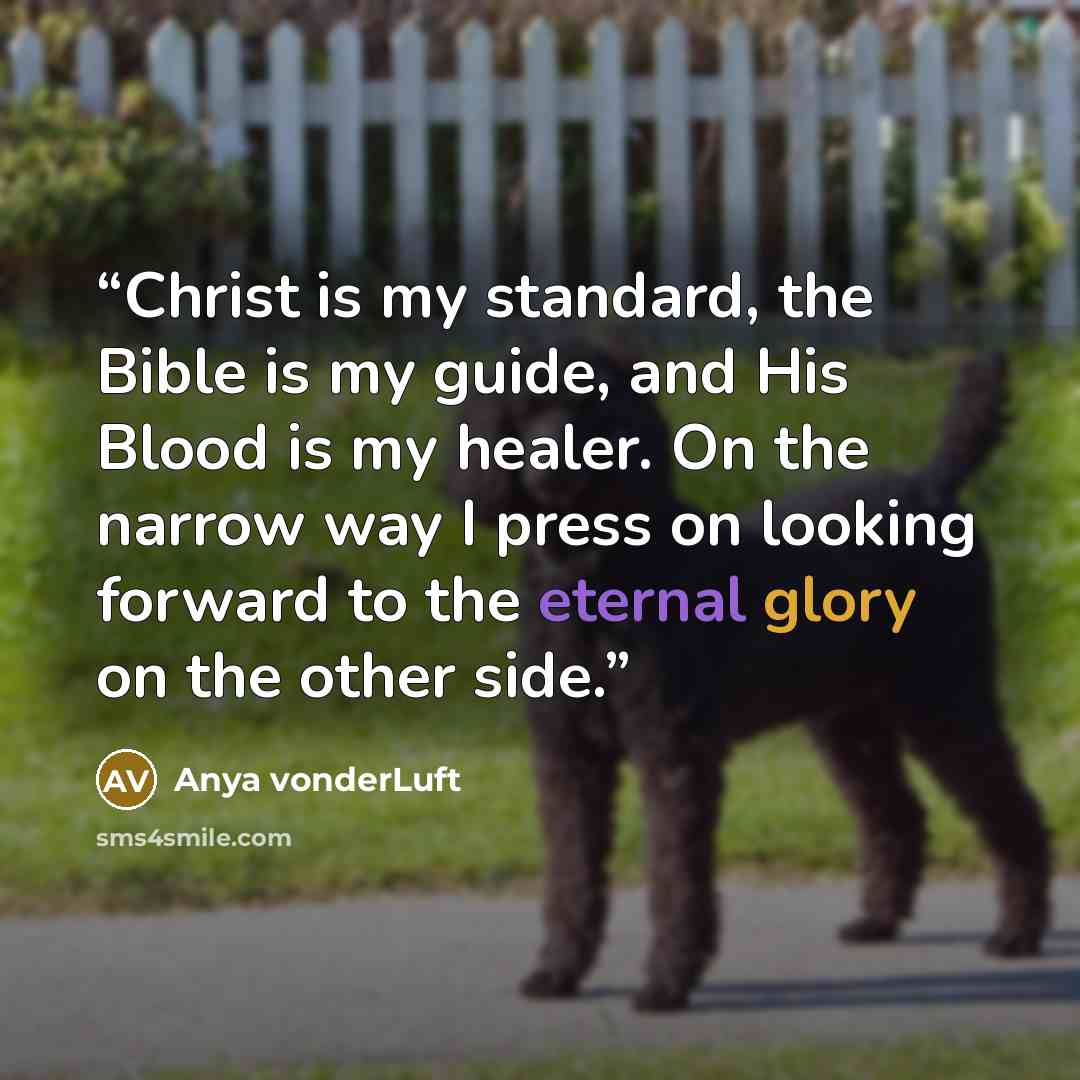 “Christ is my standard, the Bible is my guide, and His Blood is my healer. On the narrow way I press on looking forward to the eternal glory on the other side.” quote by Anya vonderLuft
