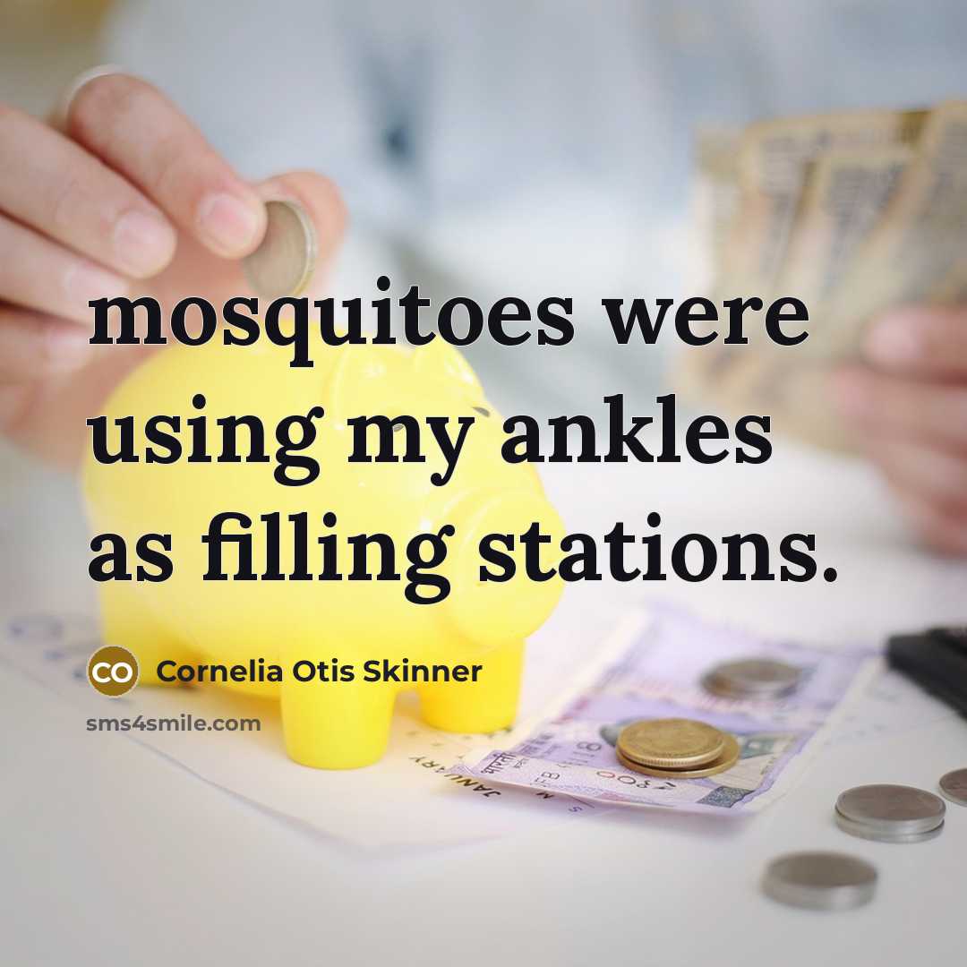 “mosquitoes were using my ankles as filling stations.” quote by Cornelia Otis Skinner