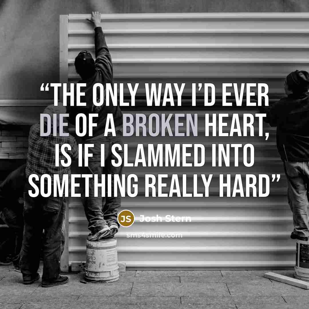 “The only way I’d ever die of a broken heart, is if I slammed into something really hard” quote by Josh Stern