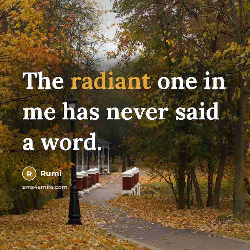 “The radiant one in me has never said a word.” quote by Rumi