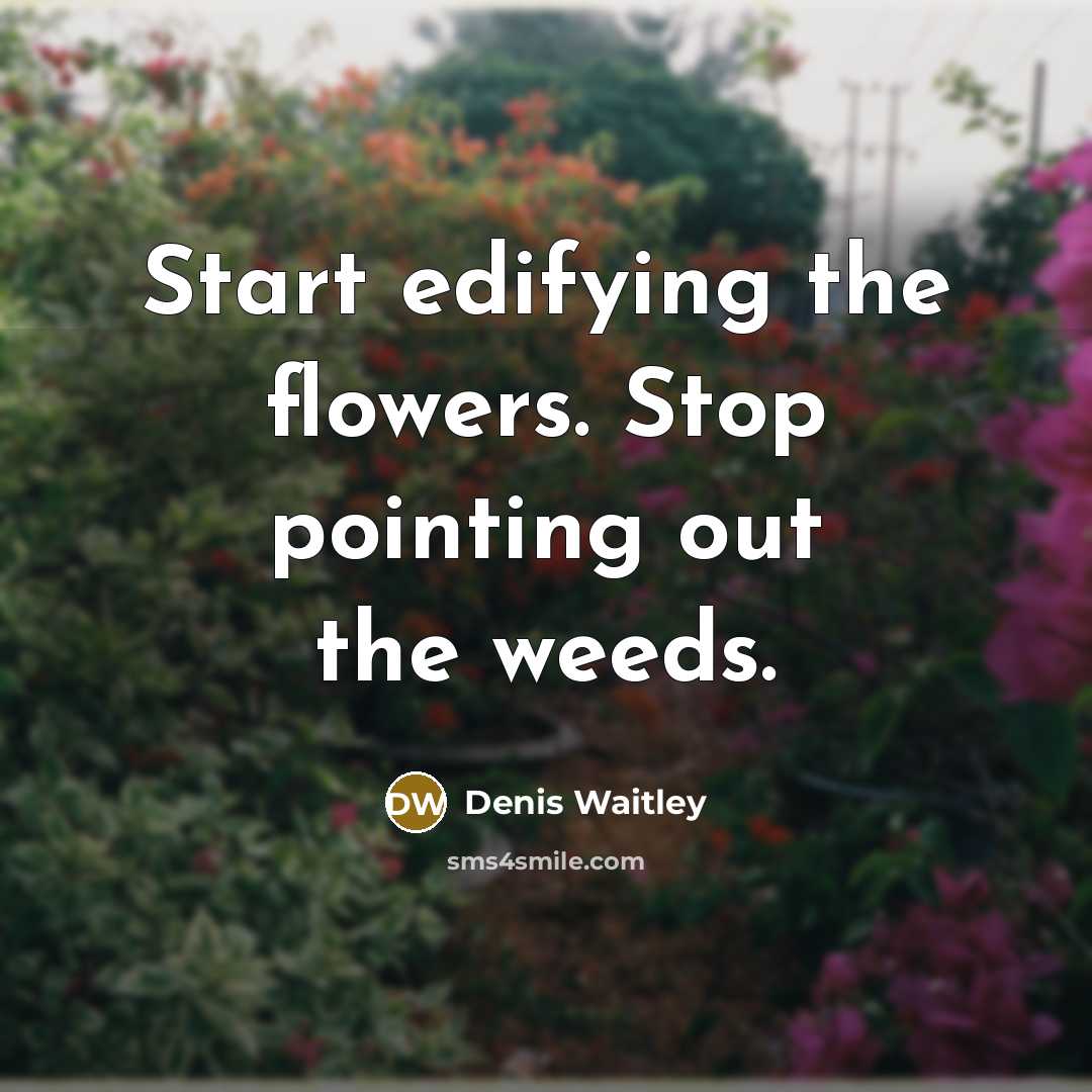 “Start edifying the flowers. Stop pointing out the weeds.” quote by Denis Waitley