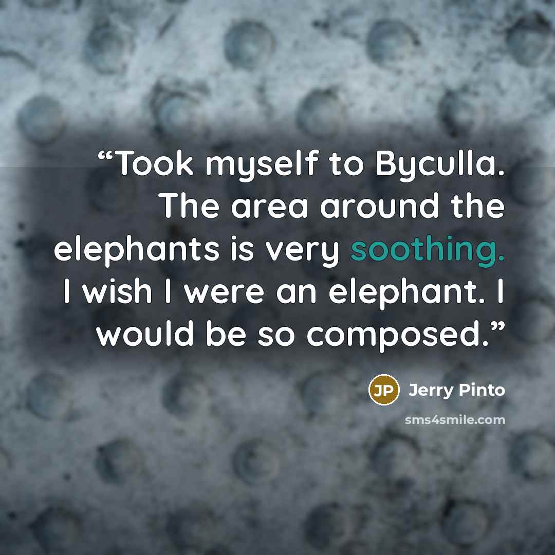 “Took myself to Byculla. The area around the elephants is very soothing. I wish I were an elephant. I would be so composed.” quote by Jerry Pinto