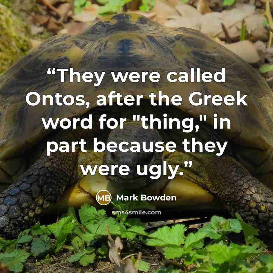 “They were called Ontos, after the Greek word for "thing," in part because they were ugly.” quote by Mark Bowden
