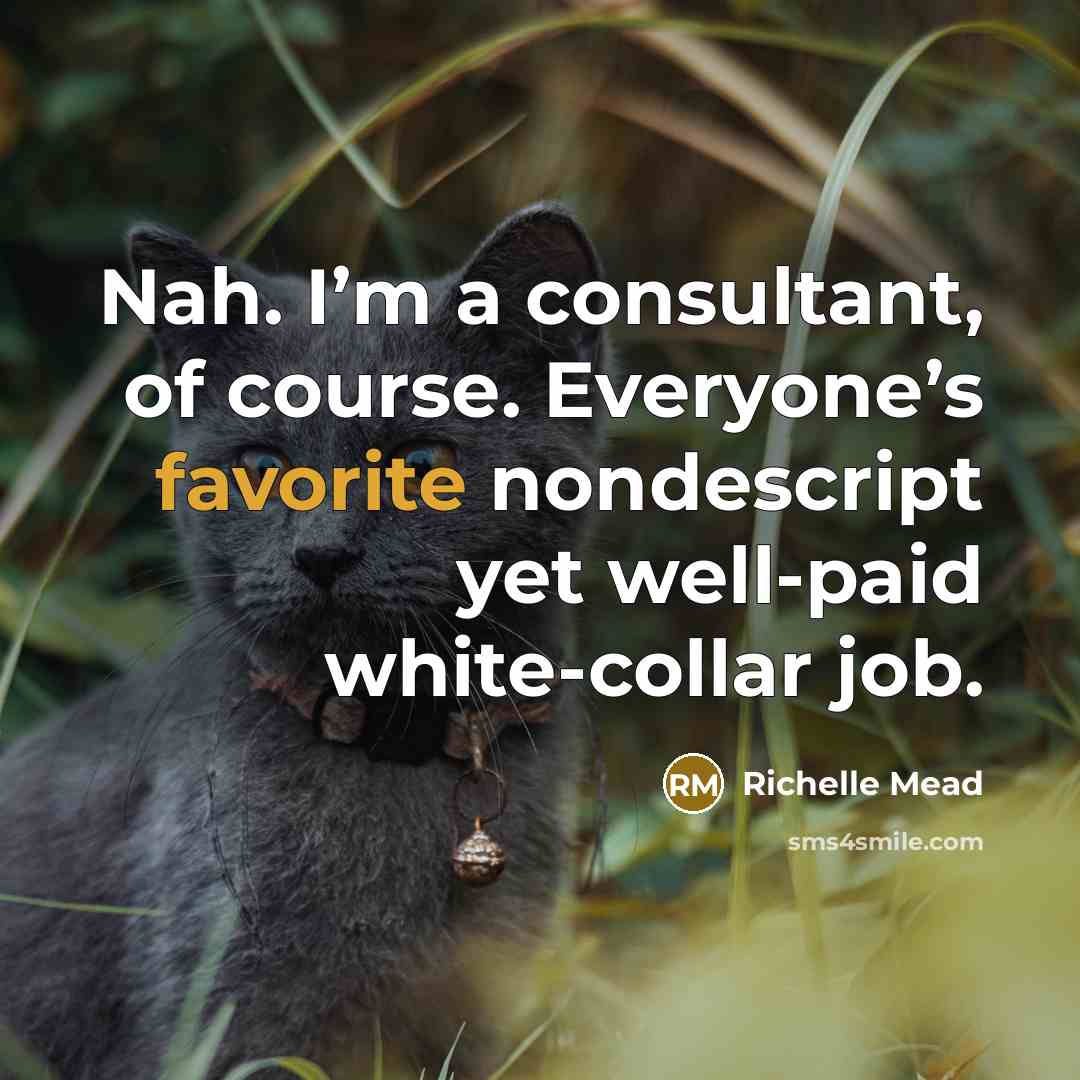 “Nah. I’m a consultant, of course. Everyone’s favorite nondescript yet well-paid white-collar job.” quote by Richelle Mead