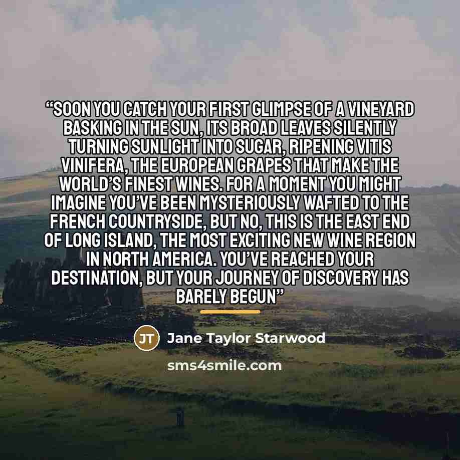 “Soon you catch your first glimpse of a vineyard basking in the sun, its broad leaves silently turning sunlight into sugar, ripening vitis vinifera, the European grapes that make the world’s finest wines. For a moment you might imagine you’ve been mysteriously wafted to the French countryside, but…” quote by Jane Taylor Starwood