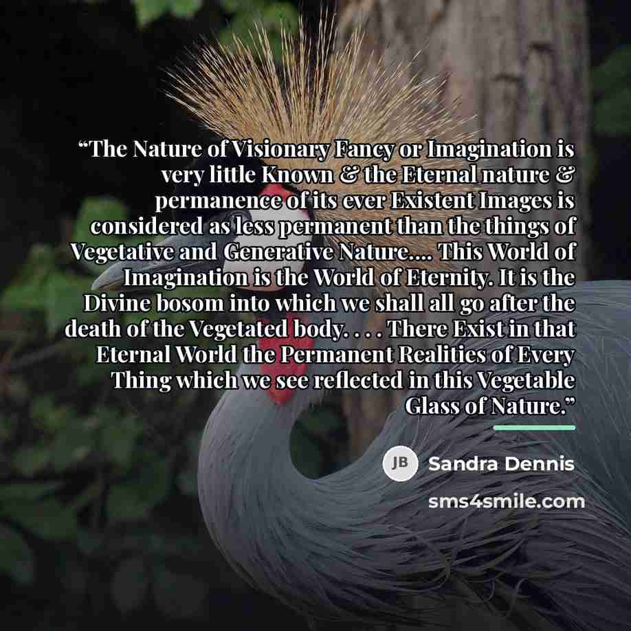 “The Nature of Visionary Fancy or Imagination is very little Known & the Eternal nature & permanence of its ever Existent Images is considered as less permanent than the things of Vegetative and Generative Nature… This World of Imagination is the World of Eternity. It is the Divine bosom into which…” quote by Sandra Dennis