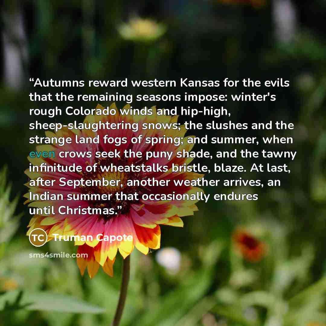 “Autumns reward western Kansas for the evils that the remaining seasons impose: winter's rough Colorado winds and hip-high, sheep-slaughtering snows; the slushes and the strange land fogs of spring; and summer, when even crows seek the puny shade, and the tawny infinitude of wheatstalks bristle…” quote by Truman Capote