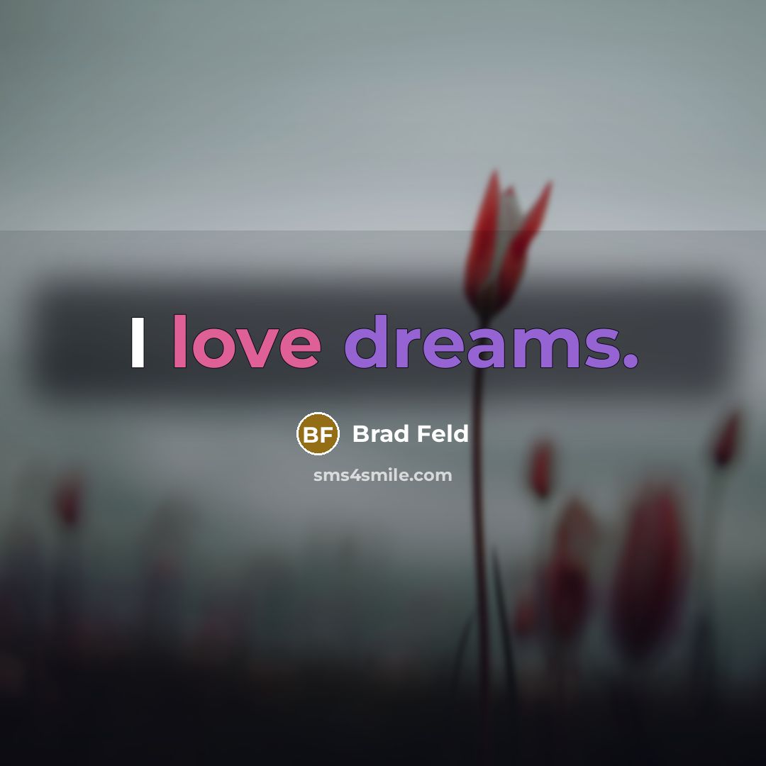 “I love dreams.” quote by Brad Feld