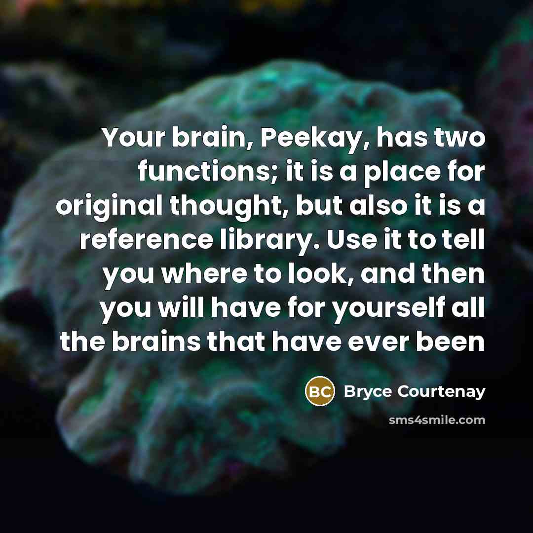 “Your brain, Peekay, has two functions; it is a place for original thought, but also it is a reference library. Use it to tell you where to look, and then you will have for yourself all the brains that have ever been” quote by Bryce Courtenay