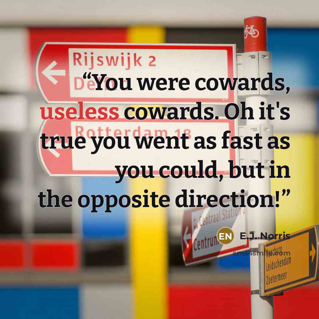 “You were cowards, useless cowards. Oh it's true you went as fast as you could, but in the opposite direction!” quote by E.J. Norris