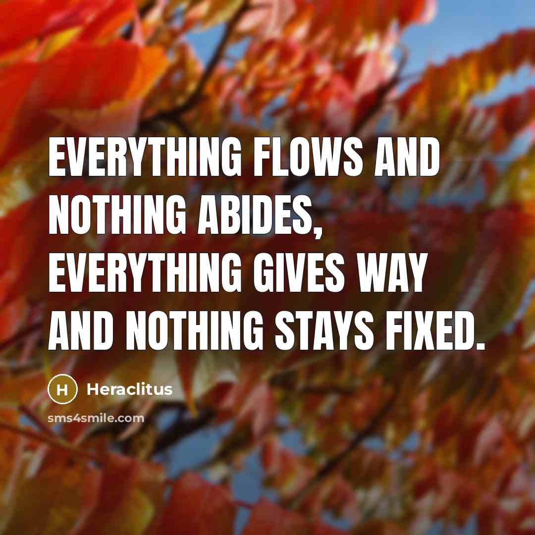 “Everything flows and nothing abides, everything gives way and nothing stays fixed.” quote by Heraclitus