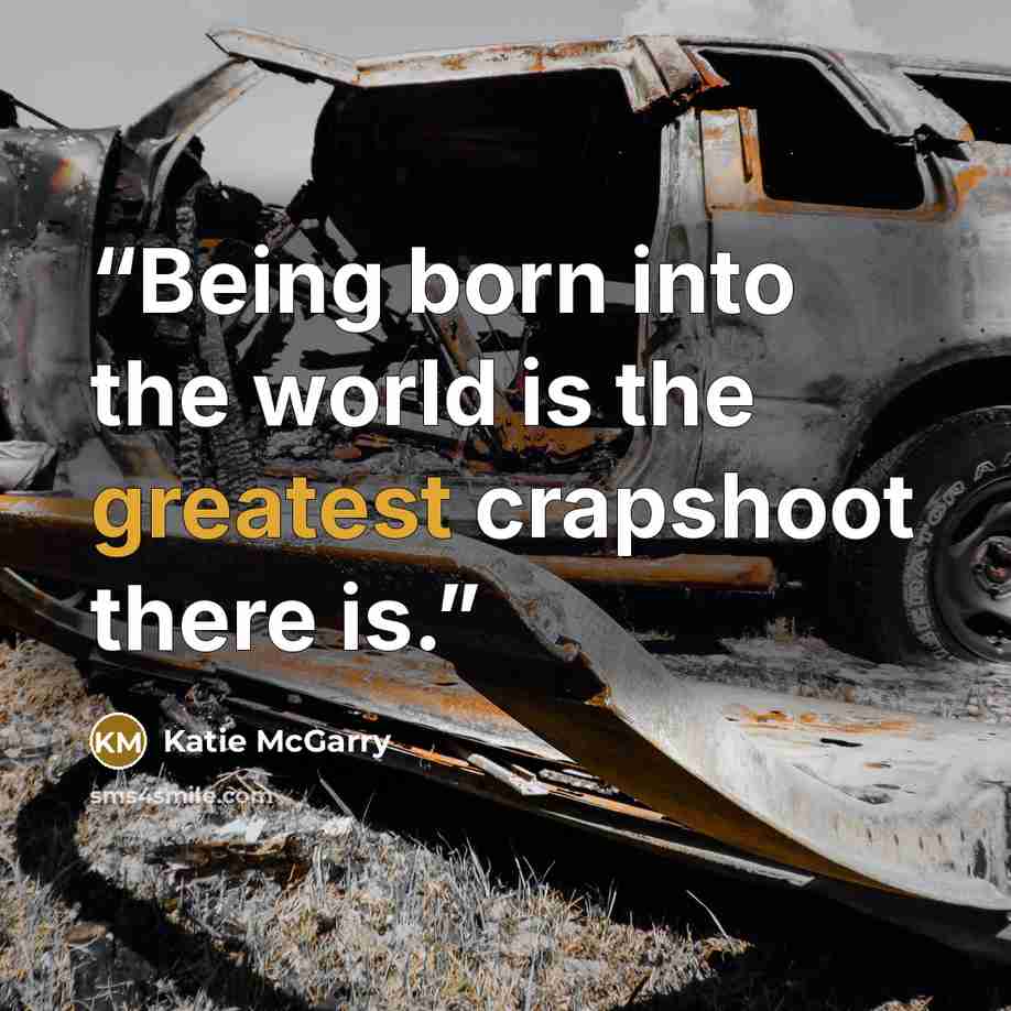 “Being born into the world is the greatest crapshoot there is.” quote by Katie McGarry