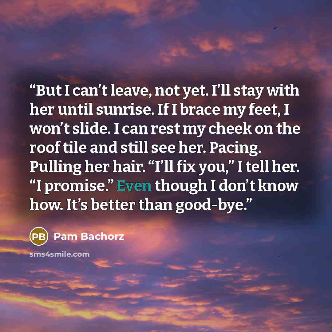 “But I can’t leave, not yet. I’ll stay with her until sunrise. If I brace my feet, I won’t slide. I can rest my cheek on the roof tile and still see her. Pacing. Pulling her hair. “I’ll fix you,” I tell her. “I promise.” Even though I don’t know how. It’s better than good-bye.” quote by Pam Bachorz