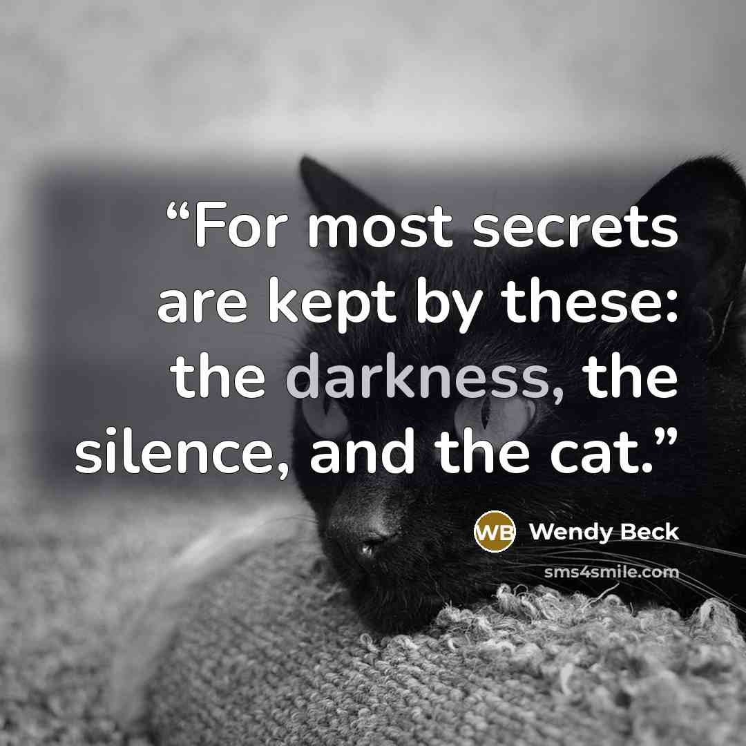 “For most secrets are kept by these: the darkness, the silence, and the cat.” quote by Wendy Beck