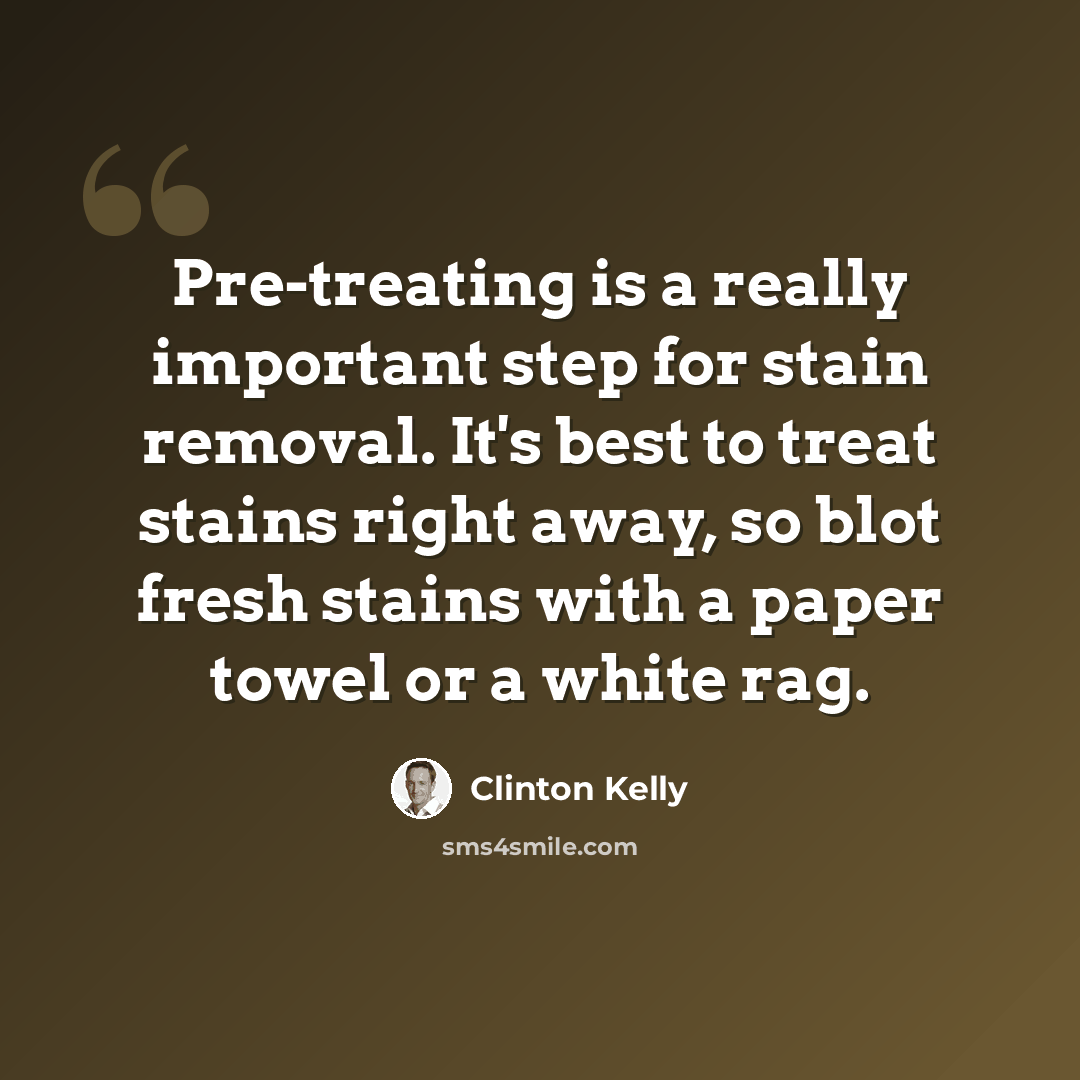 “Pre-treating is a really important step for stain removal. It's best to treat stains right away, so blot fresh stains with a paper towel or a white rag.” quote by Clinton Kelly