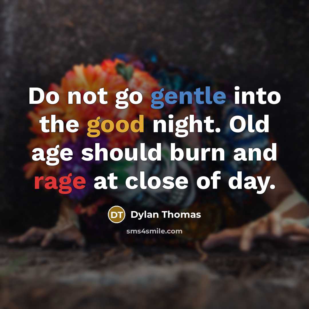 “Do not go gentle into the good night. Old age should burn and rage at close of day.” quote by Dylan Thomas