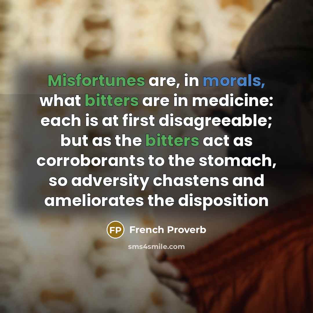 “Misfortunes are, in morals, what bitters are in medicine: each is at first disagreeable; but as the bitters act as corroborants to the stomach, so adversity chastens and ameliorates the disposition” quote by French Proverb