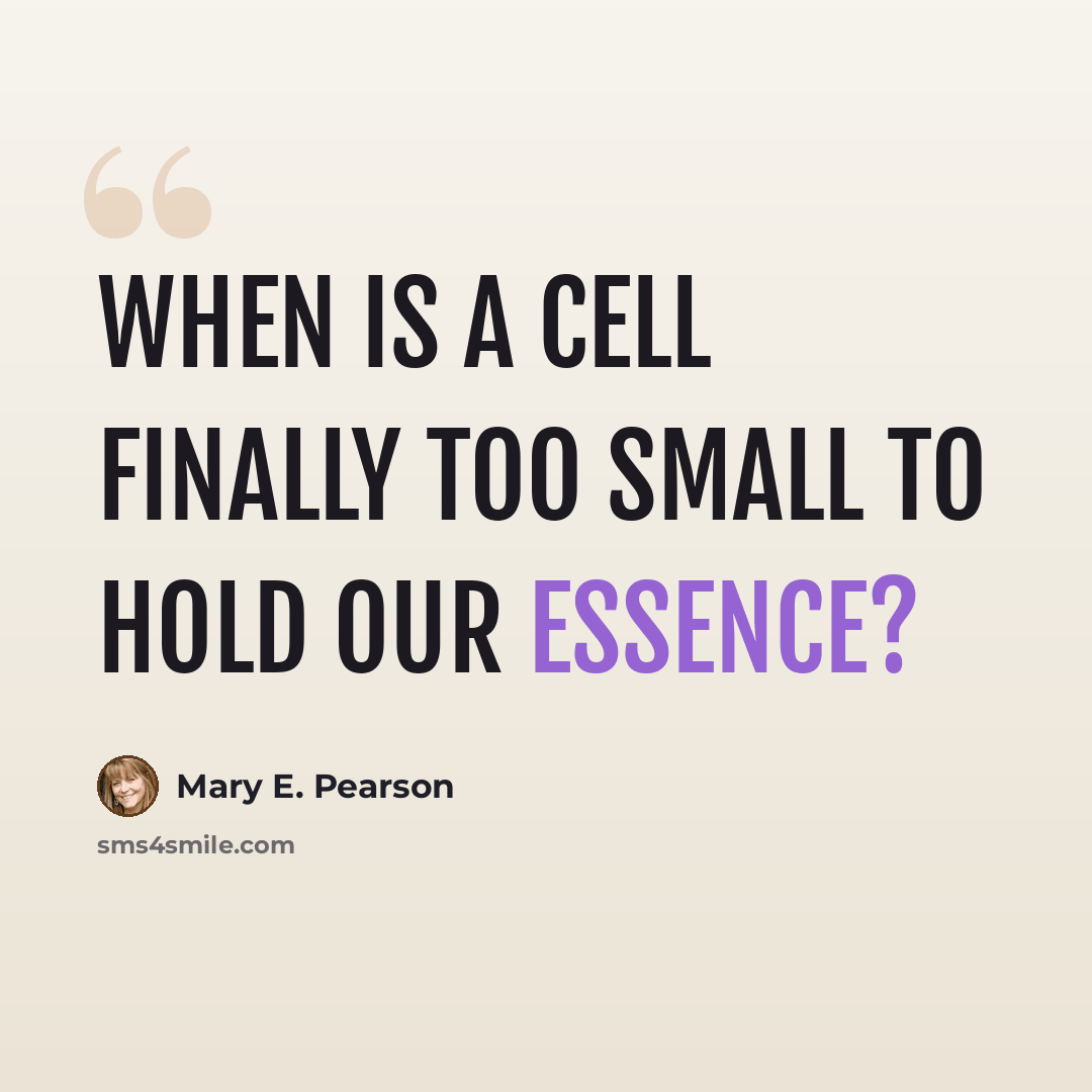 “When is a cell finally too small to hold our essence?” quote by Mary E. Pearson