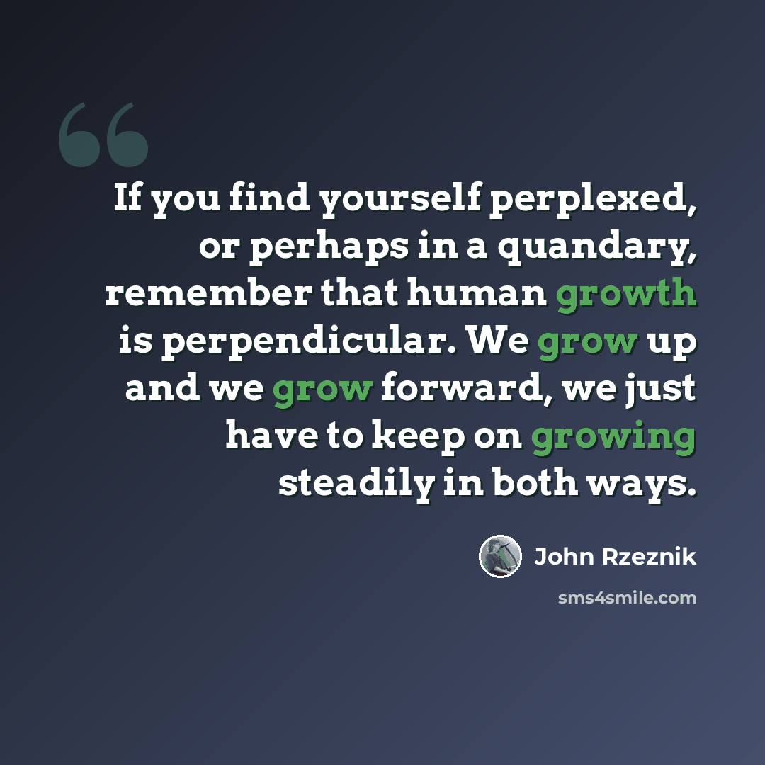 “If you find yourself perplexed, or perhaps in a quandary, remember that human growth is perpendicular. We grow up and we grow forward, we just have to keep on growing steadily in both ways.” quote by John Rzeznik