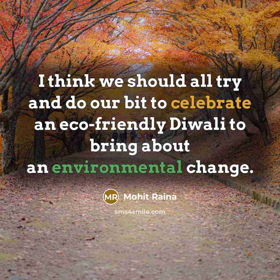 “I think we should all try and do our bit to celebrate an eco-friendly Diwali to bring about an environmental change.” quote by Mohit Raina