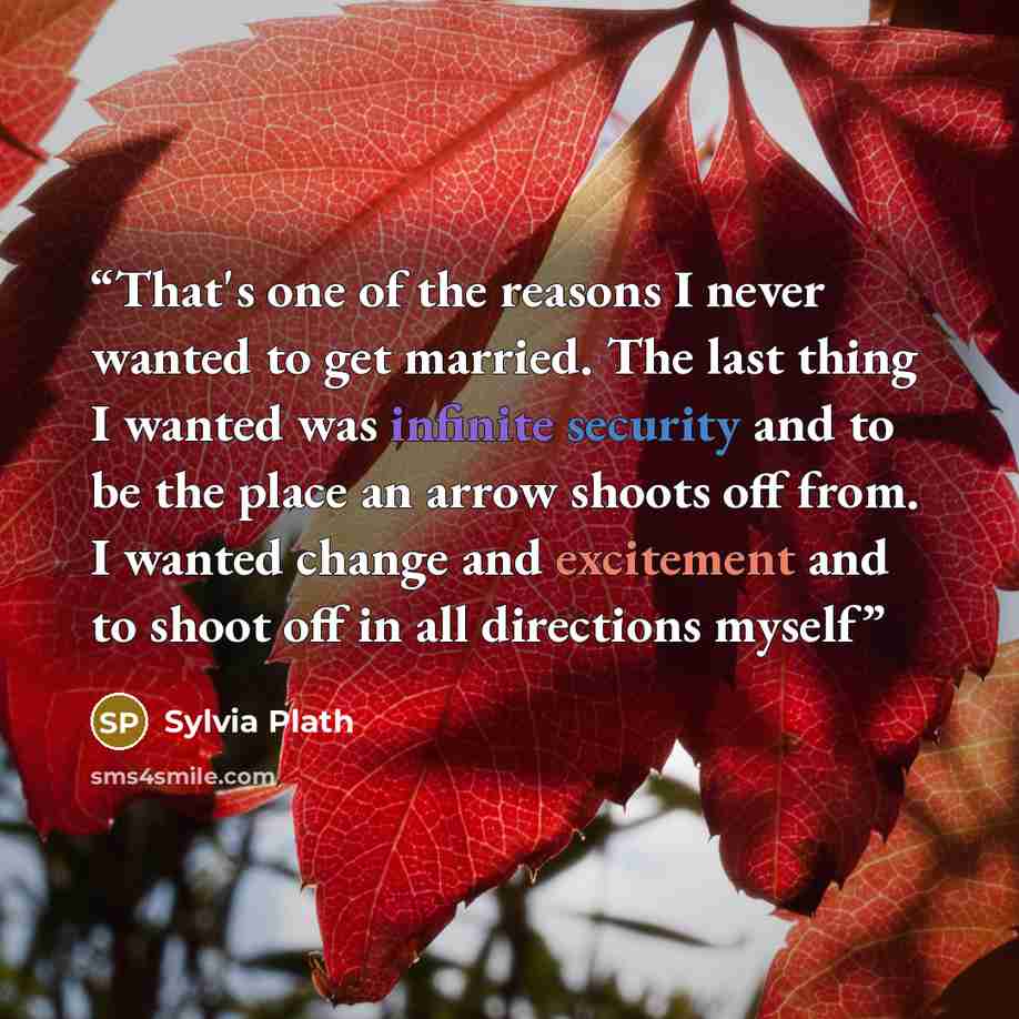 “That's one of the reasons I never wanted to get married. The last thing I wanted was infinite security and to be the place an arrow shoots off from. I wanted change and excitement and to shoot off in all directions myself” quote by Sylvia Plath