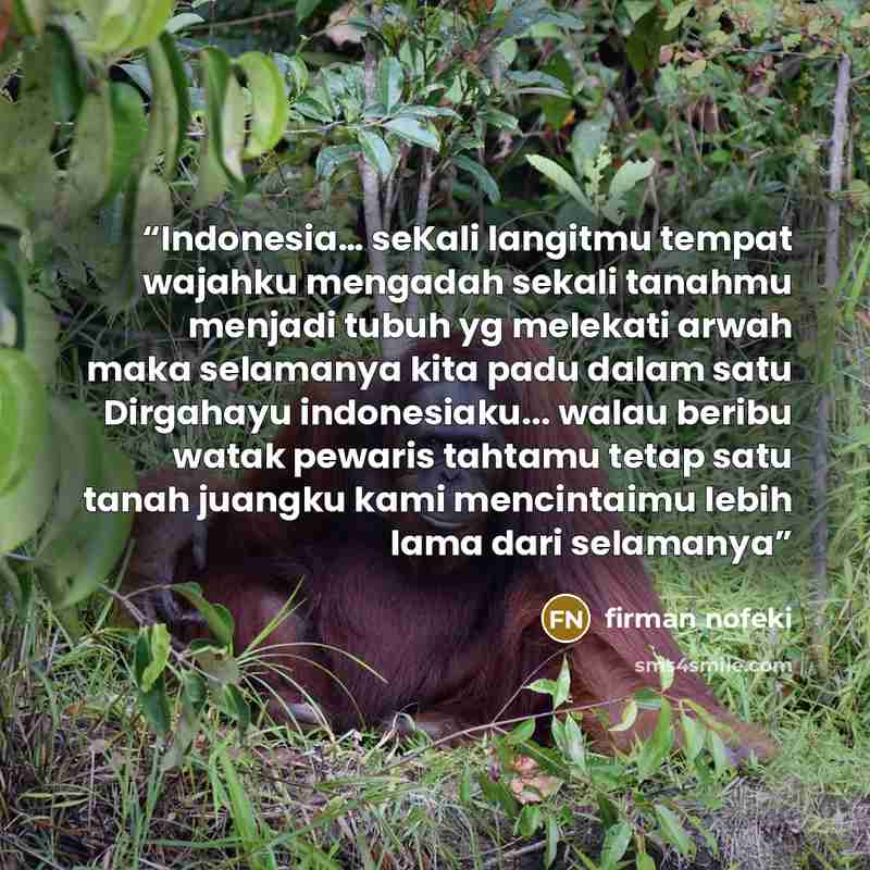 “Indonesia… seKali langitmu tempat wajahku mengadah sekali tanahmu menjadi tubuh yg melekati arwah maka selamanya kita padu dalam satu Dirgahayu indonesiaku... walau beribu watak pewaris tahtamu tetap satu tanah juangku kami mencintaimu lebih lama dari selamanya” quote by firman nofeki