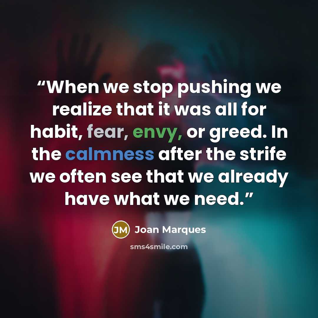 “When we stop pushing we realize that it was all for habit, fear, envy, or greed. In the calmness after the strife we often see that we already have what we need.” quote by Joan Marques