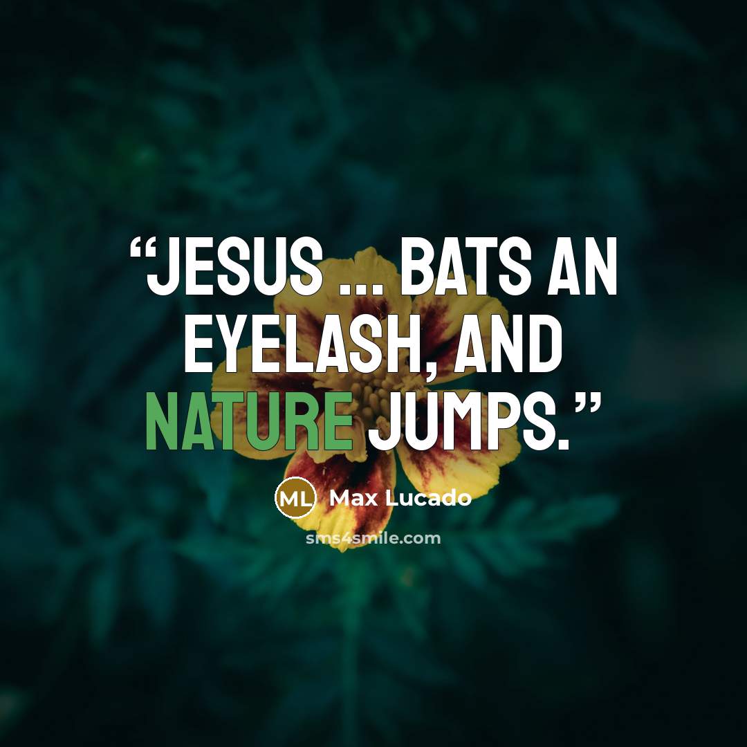 “Jesus … bats an eyelash, and nature jumps.” quote by Max Lucado