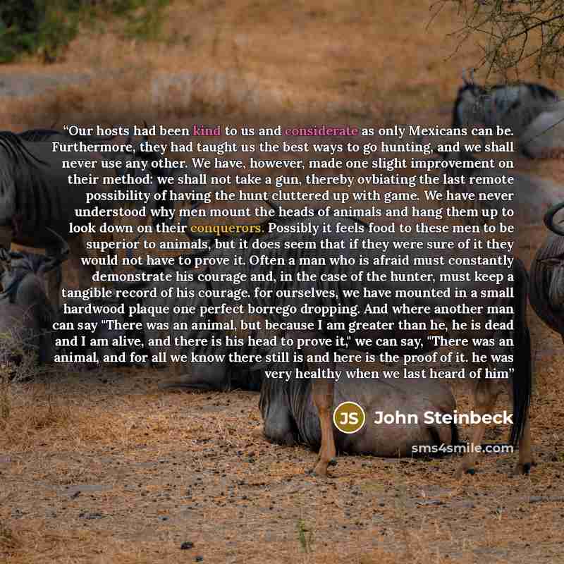 “Our hosts had been kind to us and considerate as only Mexicans can be. Furthermore, they had taught us the best ways to go hunting, and we shall never use any other. We have, however, made one slight improvement on their method: we shall not take a gun, thereby ovbiating the last remote…” quote by John Steinbeck