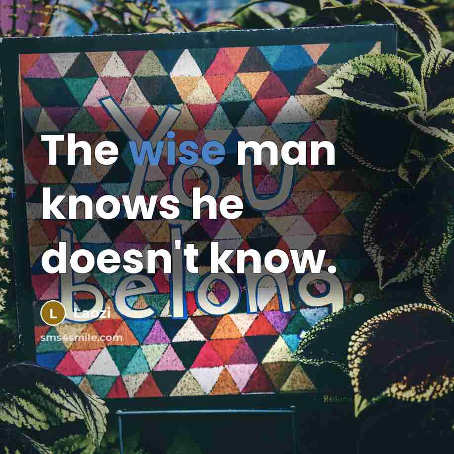 “The wise man knows he doesn't know.” quote by Laozi