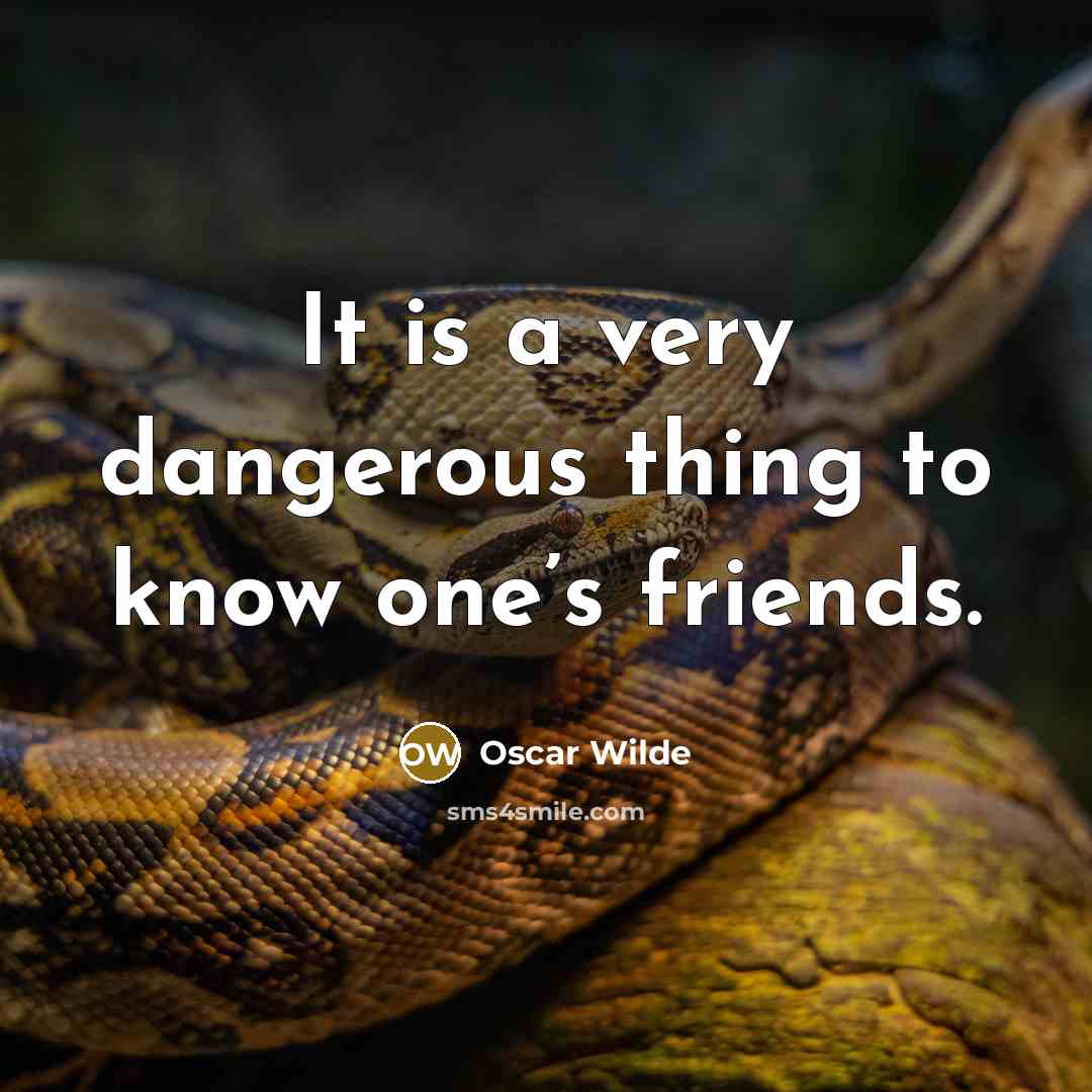 “It is a very dangerous thing to know one’s friends.” quote by Oscar Wilde