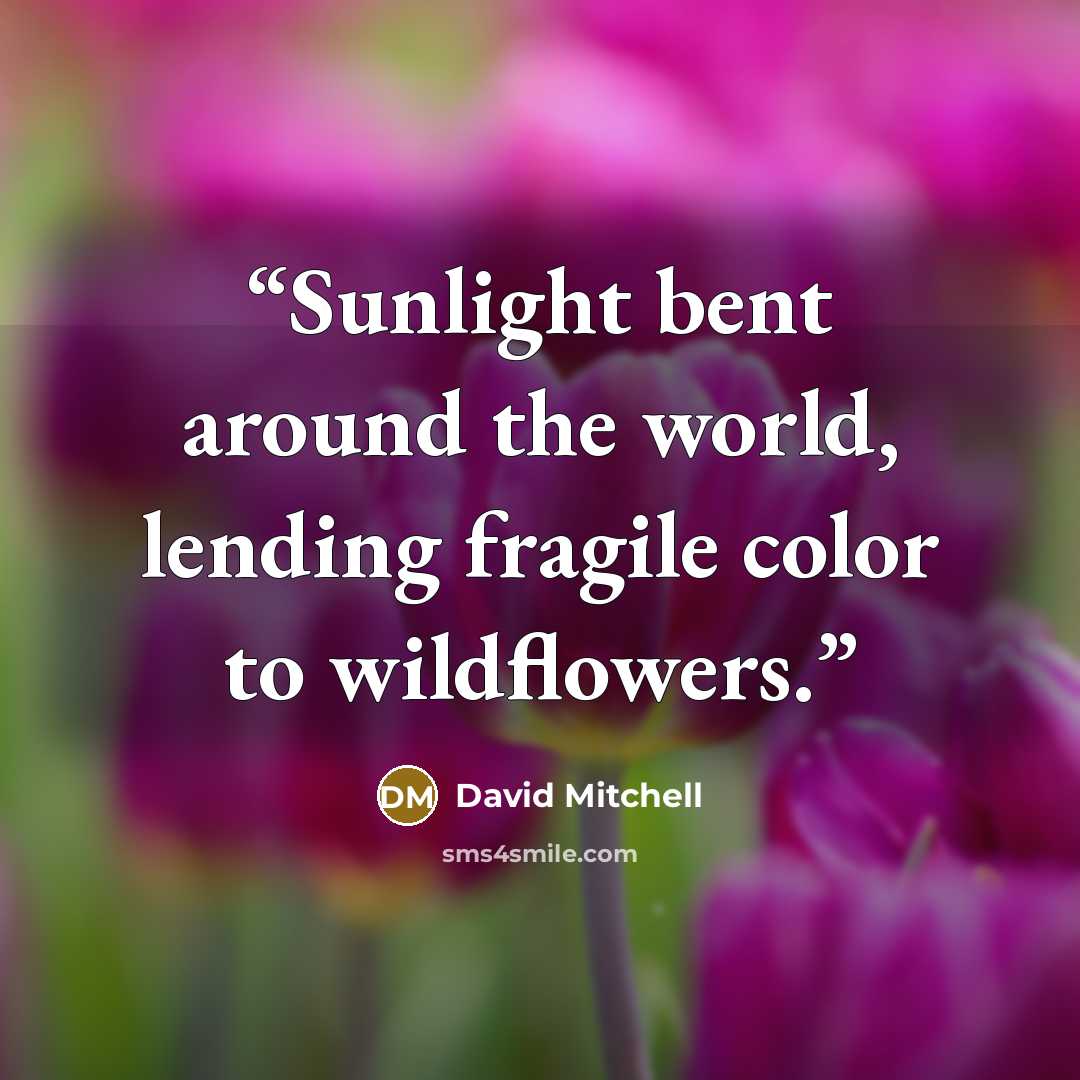 “Sunlight bent around the world, lending fragile color to wildflowers.” quote by David Mitchell