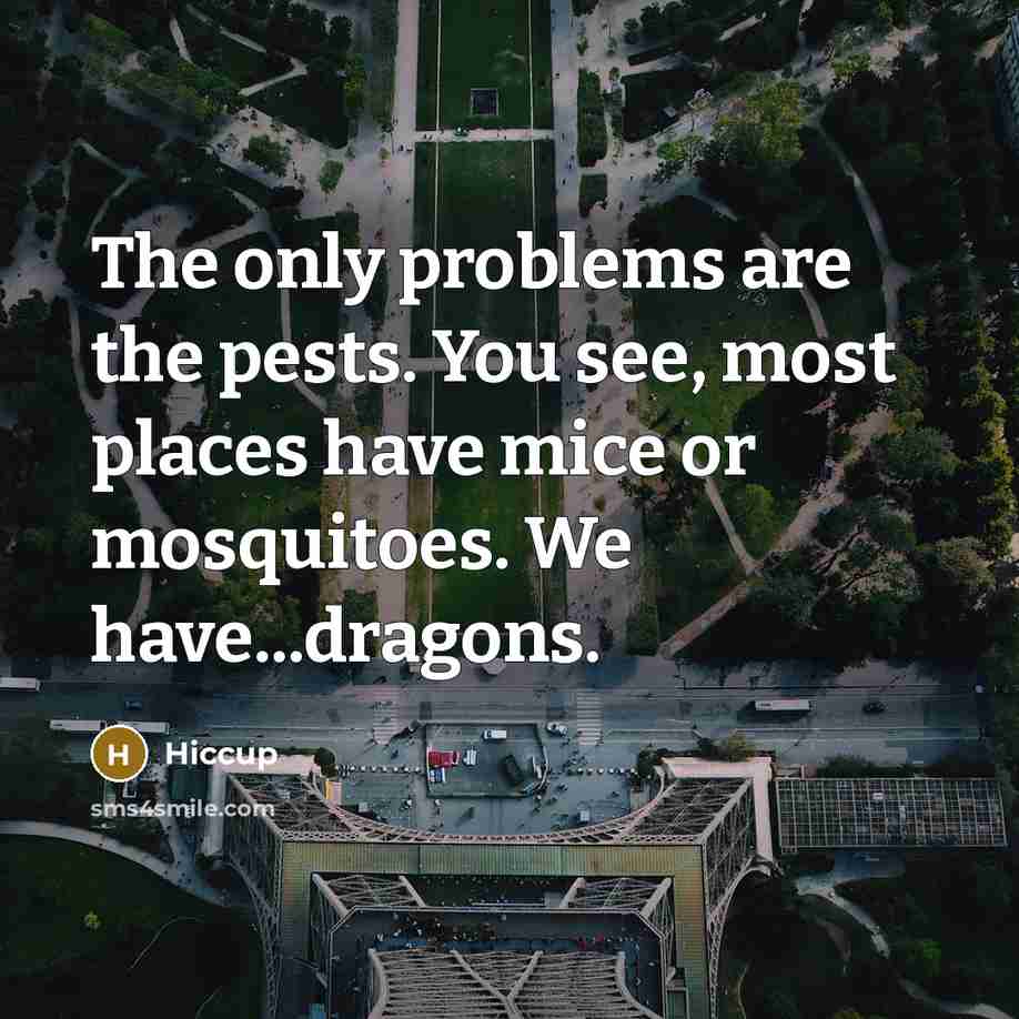 “The only problems are the pests. You see, most places have mice or mosquitoes. We have...dragons.” quote by Hiccup