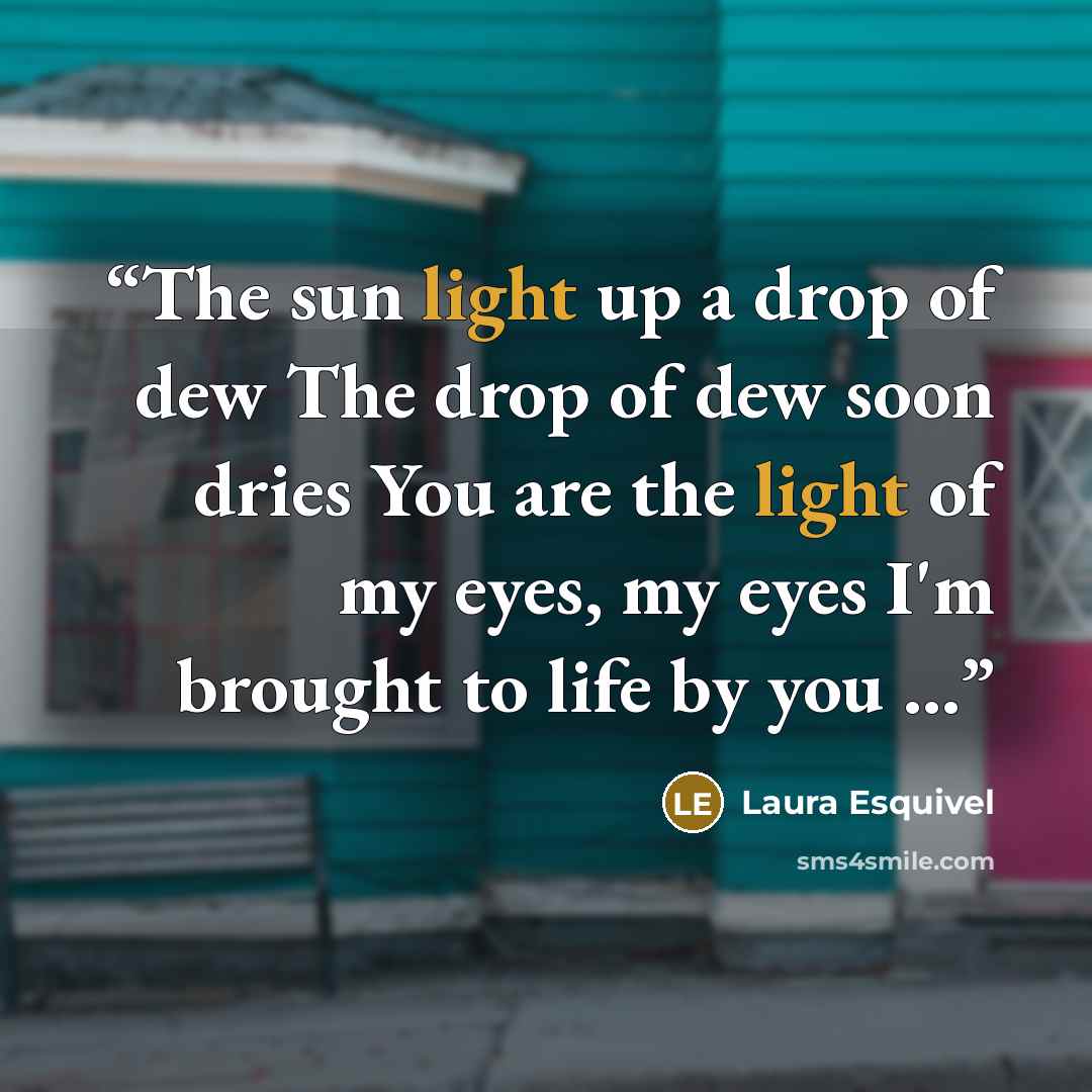 “The sun light up a drop of dew The drop of dew soon dries You are the light of my eyes, my eyes I'm brought to life by you ...” quote by Laura Esquivel