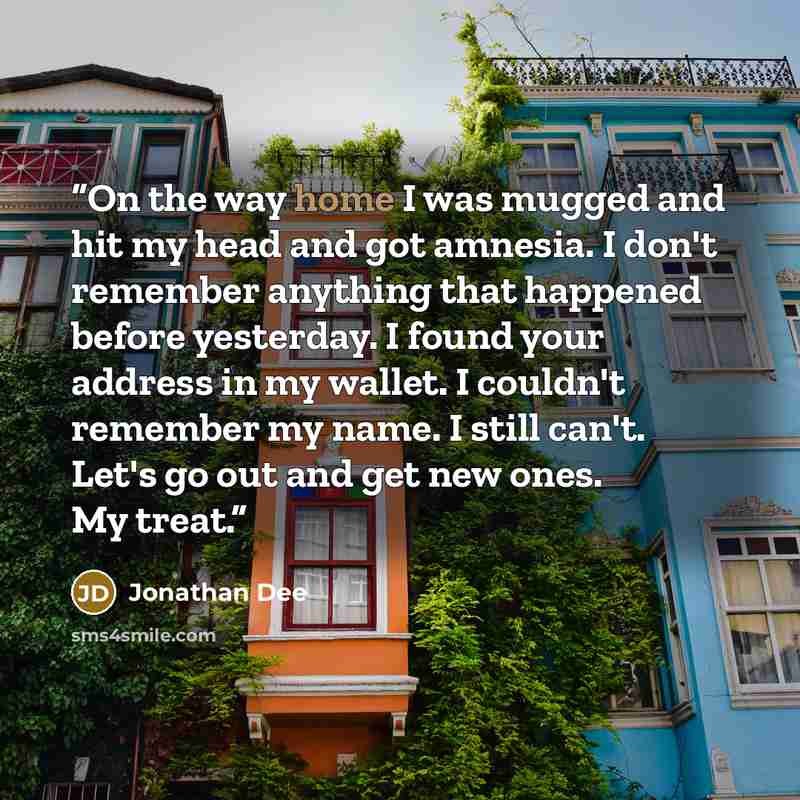 “On the way home I was mugged and hit my head and got amnesia. I don't remember anything that happened before yesterday. I found your address in my wallet. I couldn't remember my name. I still can't. Let's go out and get new ones. My treat.” quote by Jonathan Dee