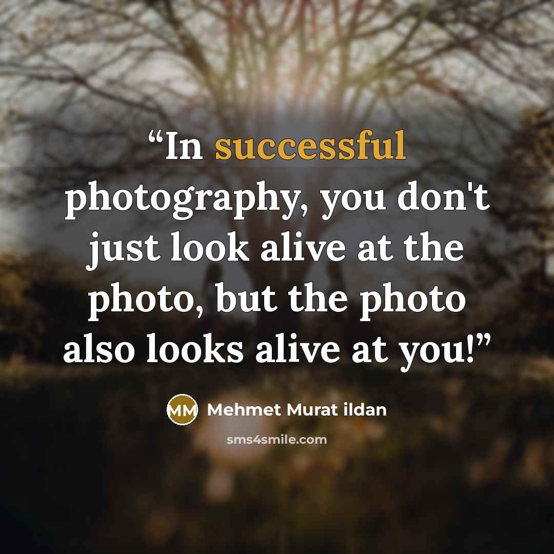 “In successful photography, you don't just look alive at the photo, but the photo also looks alive at you!” quote by Mehmet Murat ildan