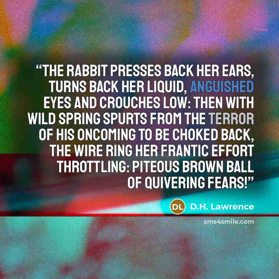 “The rabbit presses back her ears, Turns back her liquid, anguished eyes And crouches low: then with wild spring Spurts from the terror of his oncoming To be choked back, the wire ring Her frantic effort throttling: Piteous brown ball of quivering fears!” quote by D.H. Lawrence