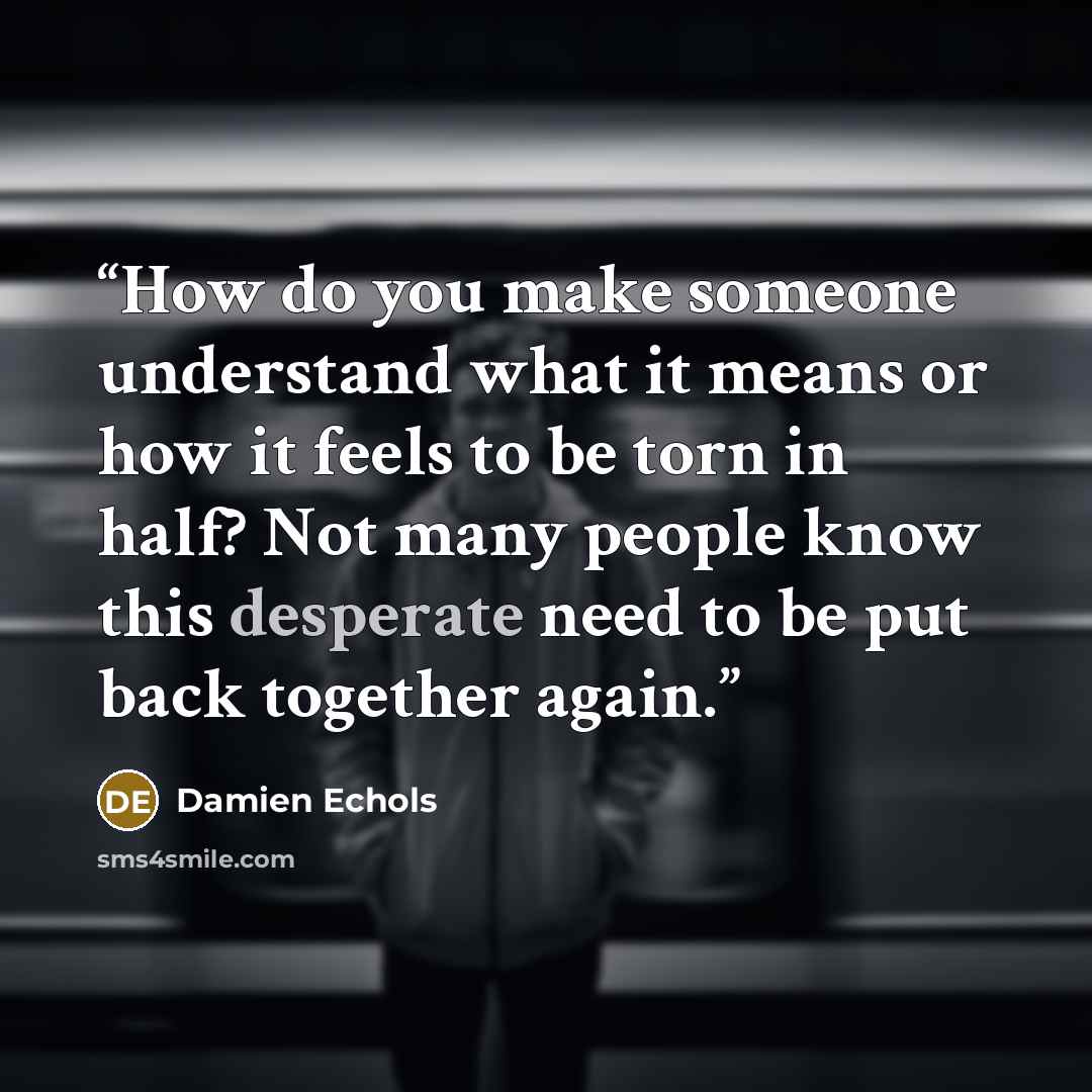 “How do you make someone understand what it means or how it feels to be torn in half? Not many people know this desperate need to be put back together again.” quote by Damien Echols