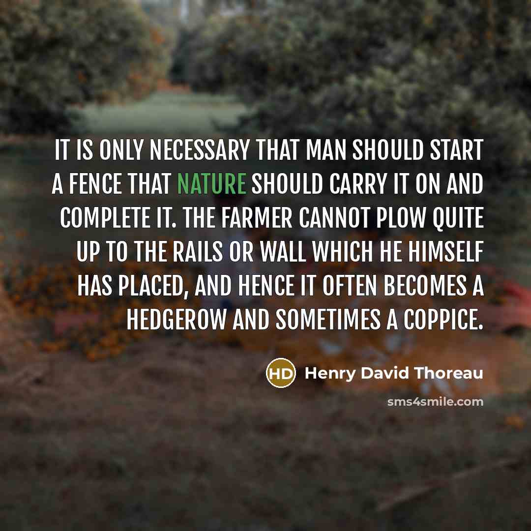 “It is only necessary that man should start a fence that Nature should carry it on and complete it. The farmer cannot plow quite up to the rails or wall which he himself has placed, and hence it often becomes a hedgerow and sometimes a coppice.” quote by Henry David Thoreau