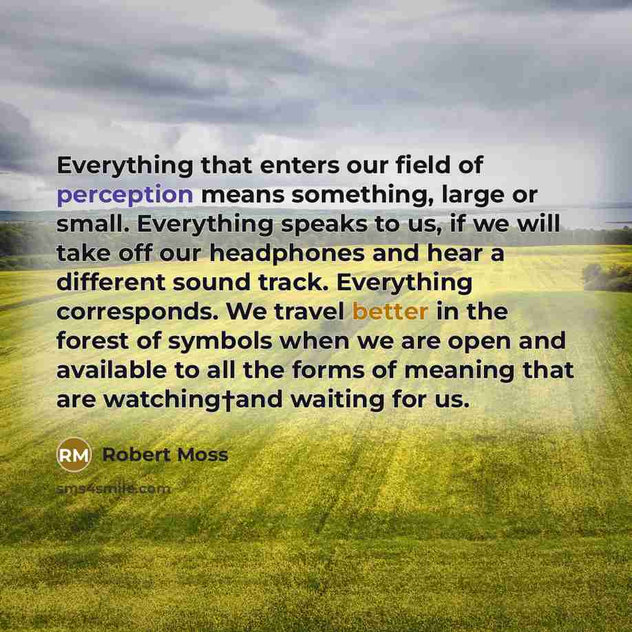 “Everything that enters our field of perception means something, large or small. Everything speaks to us, if we will take off our headphones and hear a different sound track. Everything corresponds. We travel better in the forest of symbols when we are open and available to all the forms of meaning…” quote by Robert Moss