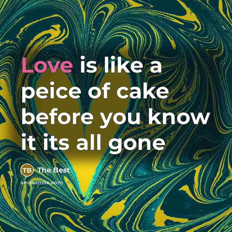 “Love is like a peice of cake before you know it its all gone” quote by The Best