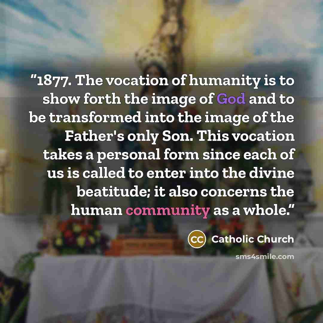 “1877. The vocation of humanity is to show forth the image of God and to be transformed into the image of the Father's only Son. This vocation takes a personal form since each of us is called to enter into the divine beatitude; it also concerns the human community as a whole.” quote by Catholic Church