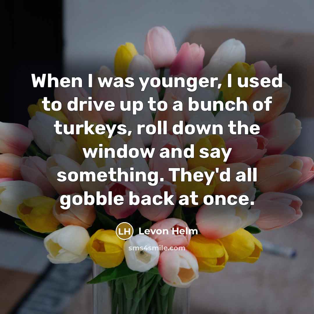 “When I was younger, I used to drive up to a bunch of turkeys, roll down the window and say something. They'd all gobble back at once.” quote by Levon Helm