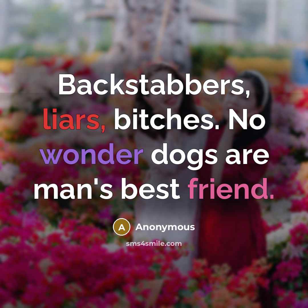 “Backstabbers, liars, bitches. No wonder dogs are man's best friend.” quote by Anonymous