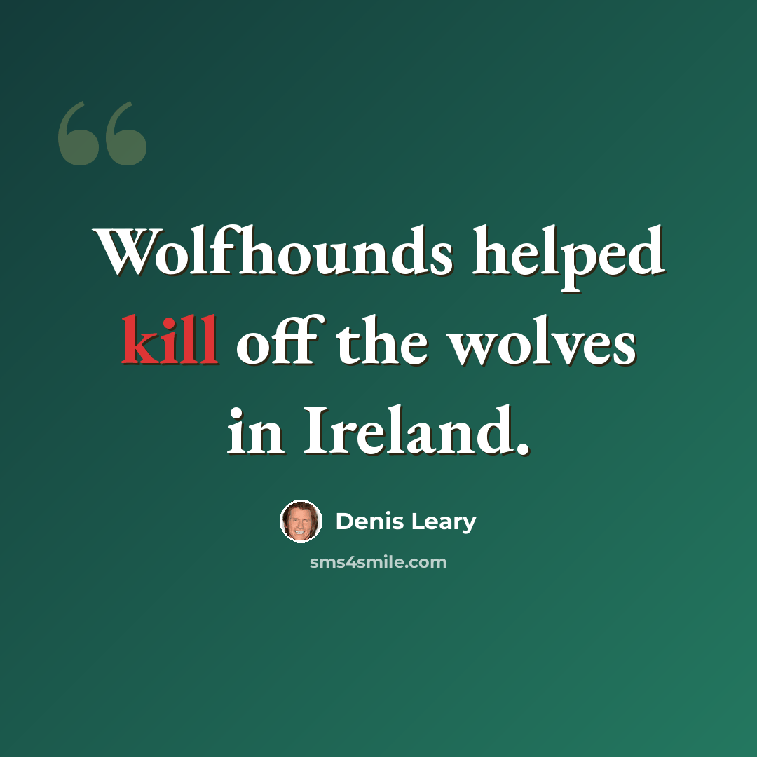 “Wolfhounds helped kill off the wolves in Ireland.” quote by Denis Leary