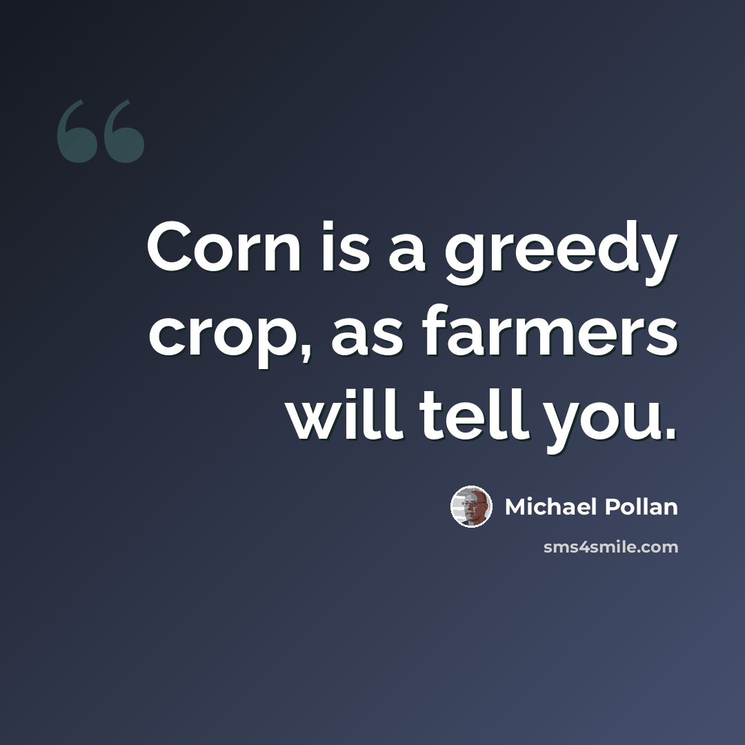 “Corn is a greedy crop, as farmers will tell you.” quote by Michael Pollan