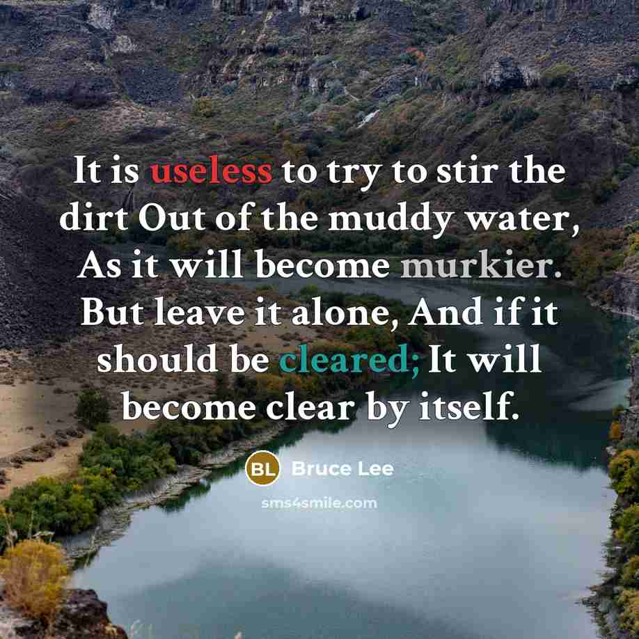“It is useless to try to stir the dirt Out of the muddy water, As it will become murkier. But leave it alone, And if it should be cleared; It will become clear by itself.” quote by Bruce Lee